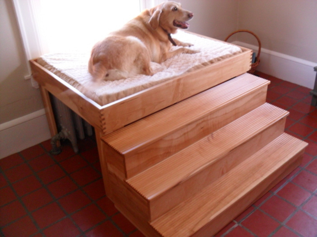 Elevated Dog Beds DIY
 Elevated Dog Bed With Stairs Innovative Elevated Dog