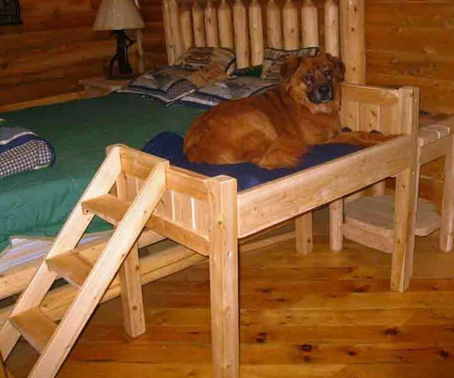 Elevated Dog Beds DIY
 Raised Dog Bed With Stairs DIY Raised Dog Bed With Stairs