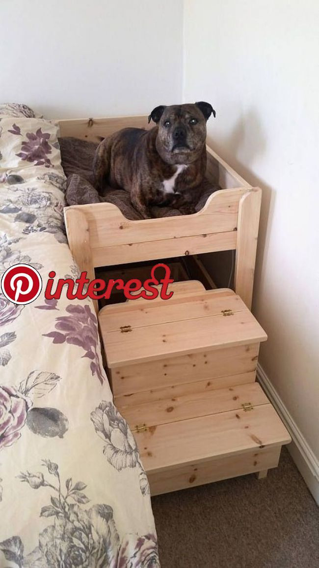 Elevated Dog Beds DIY
 The Benson Co Sleeper Wooden Raised Dog Bed with Storage