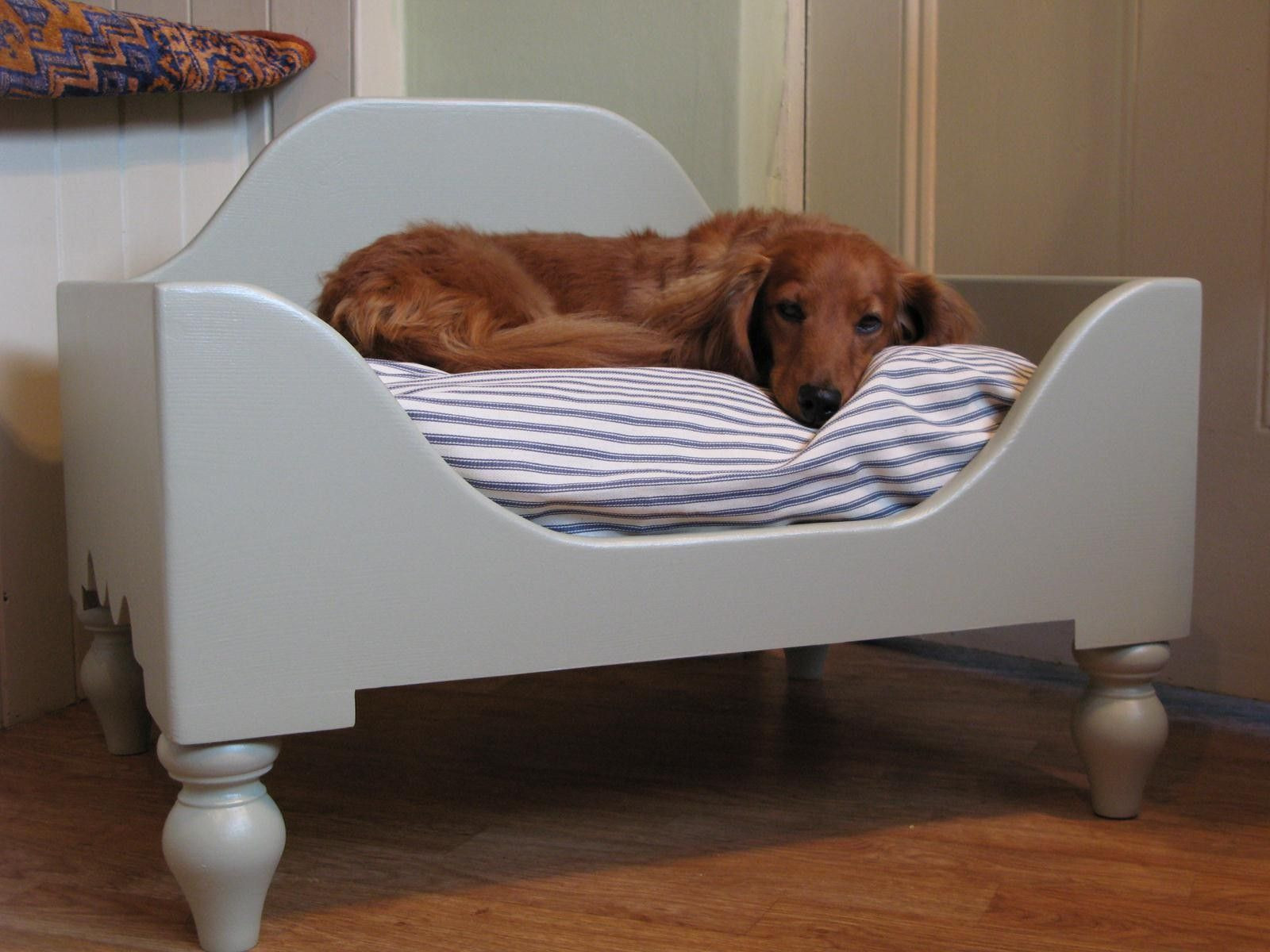 Elevated Dog Beds DIY
 Home Accessories Lovely Interior With Elevated Dog Bed In