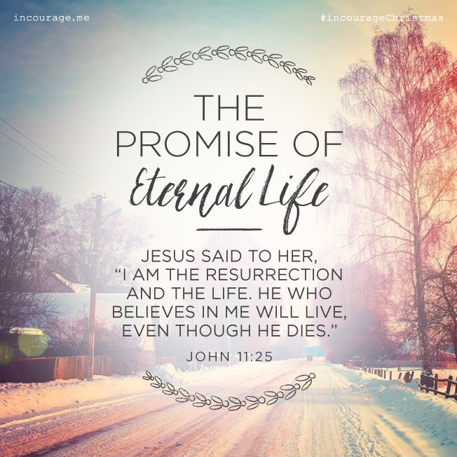 Eternal Life Quotes
 Day 18 The Promise of Eternal Life Jesus said to her