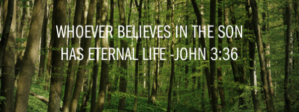 Eternal Life Quotes
 Eternal Life Bible Quotes QuotesGram