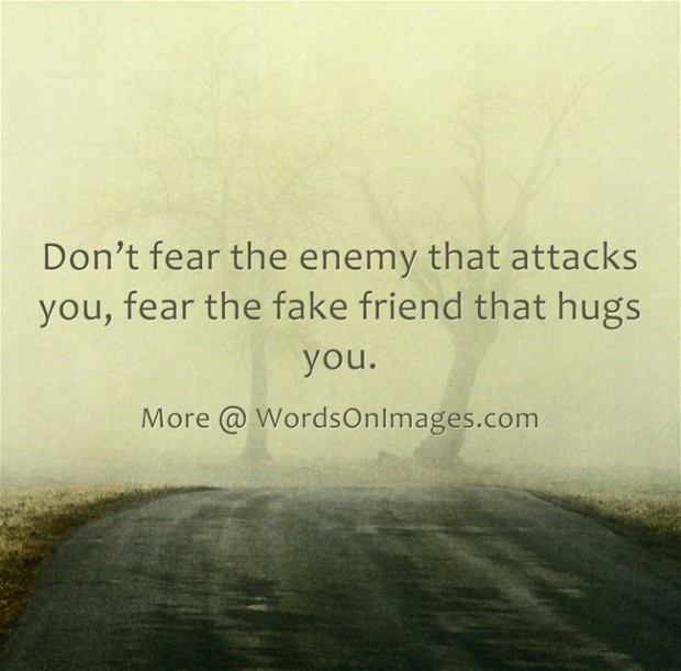 Fake Inspirational Quotes
 Inspirational Quotes About Fake Friends QuotesGram