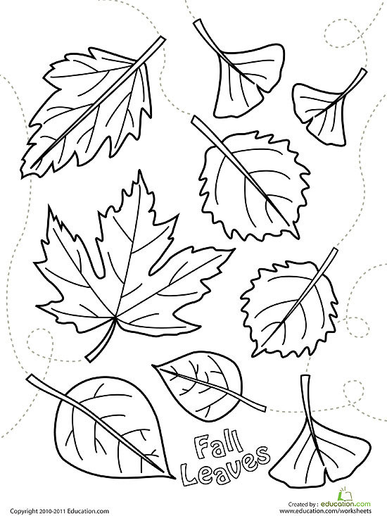 Fall Coloring Pages For Kids
 Printable Fall Coloring Pages