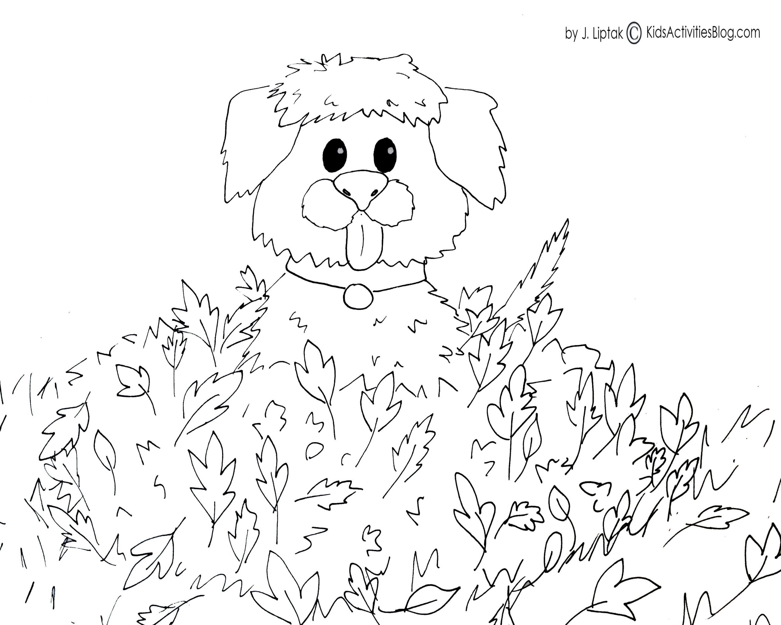 Fall Coloring Pages For Toddlers
 4 FREE PRINTABLE FALL COLORING PAGES Kids Activities