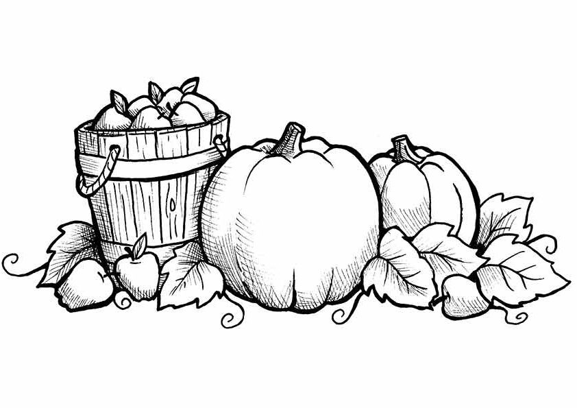 Fall Coloring Pages For Toddlers
 Free Printable Fall Coloring Pages for Kids Best