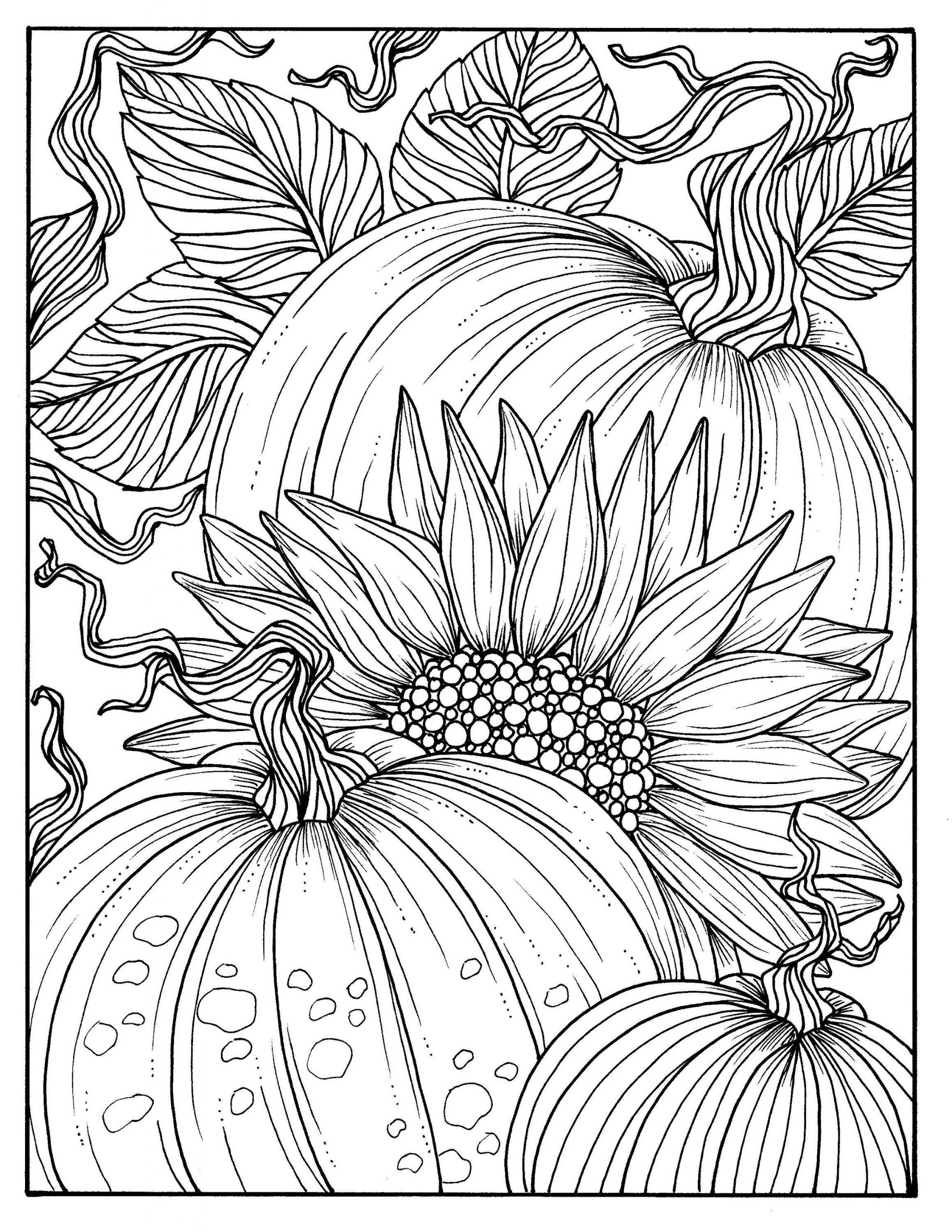 Fall Printables Coloring Pages
 5 Pages Fabulous Fall Digital Downloads to Color Punpkins