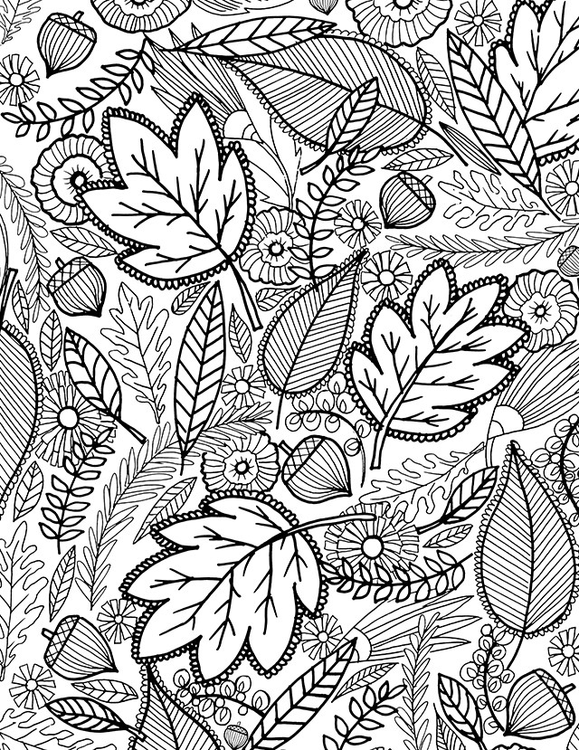 Fall Printables Coloring Pages
 alisaburke a FALL coloring page for you