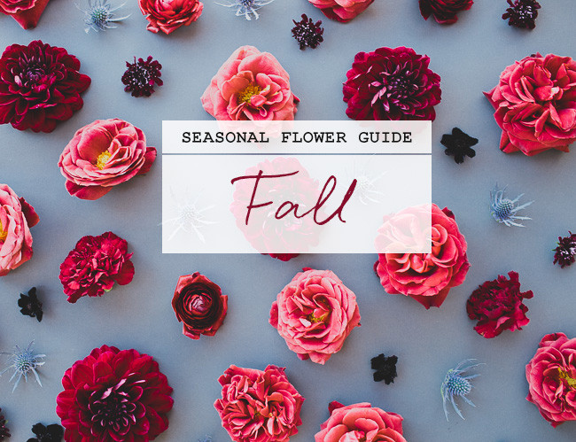 Fall Wedding Flowers In Season
 Seasonal Flower Guide Fall