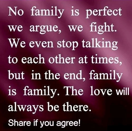 Family Fight Quotes
 No Family Is Perfect s and for