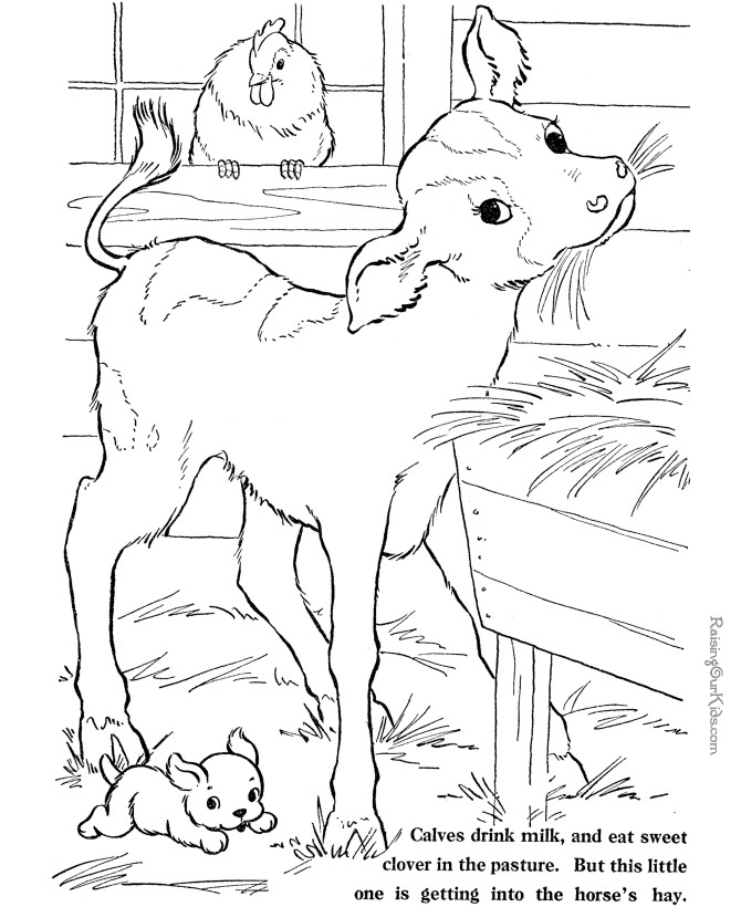 Farm Animal Coloring Pages For Toddlers
 Printable Farm Animal Coloring Sheets 028