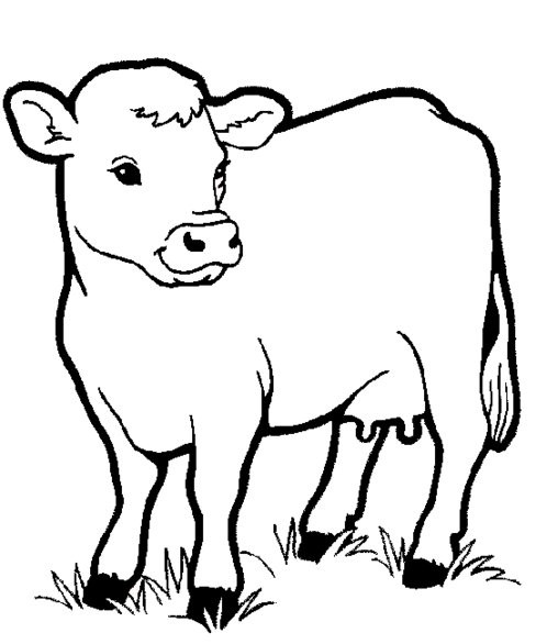 Farm Animal Coloring Pages For Toddlers
 Cartoon Farm Animal Coloring Pages For Kids Disney