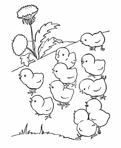 Farm Animal Coloring Pages For Toddlers
 Baby Farm Animals Coloring Pages For Kids Disney