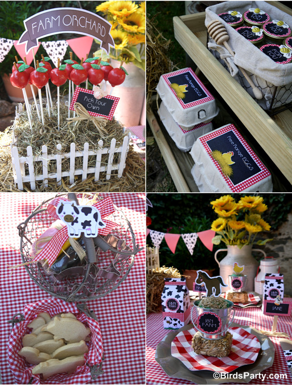 Farm Birthday Party Supplies
 My Kids Joint Barnyard Farm Birthday Party Party Ideas
