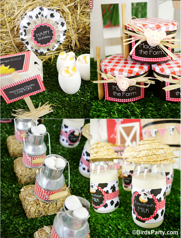 Farm Birthday Party Supplies
 My Kids Joint Barnyard Farm Birthday Party Party Ideas