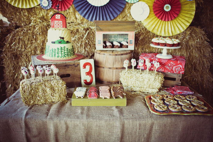 Farm Birthday Party Supplies
 Farm Birthday Party Farm Party Decorations and Ideas