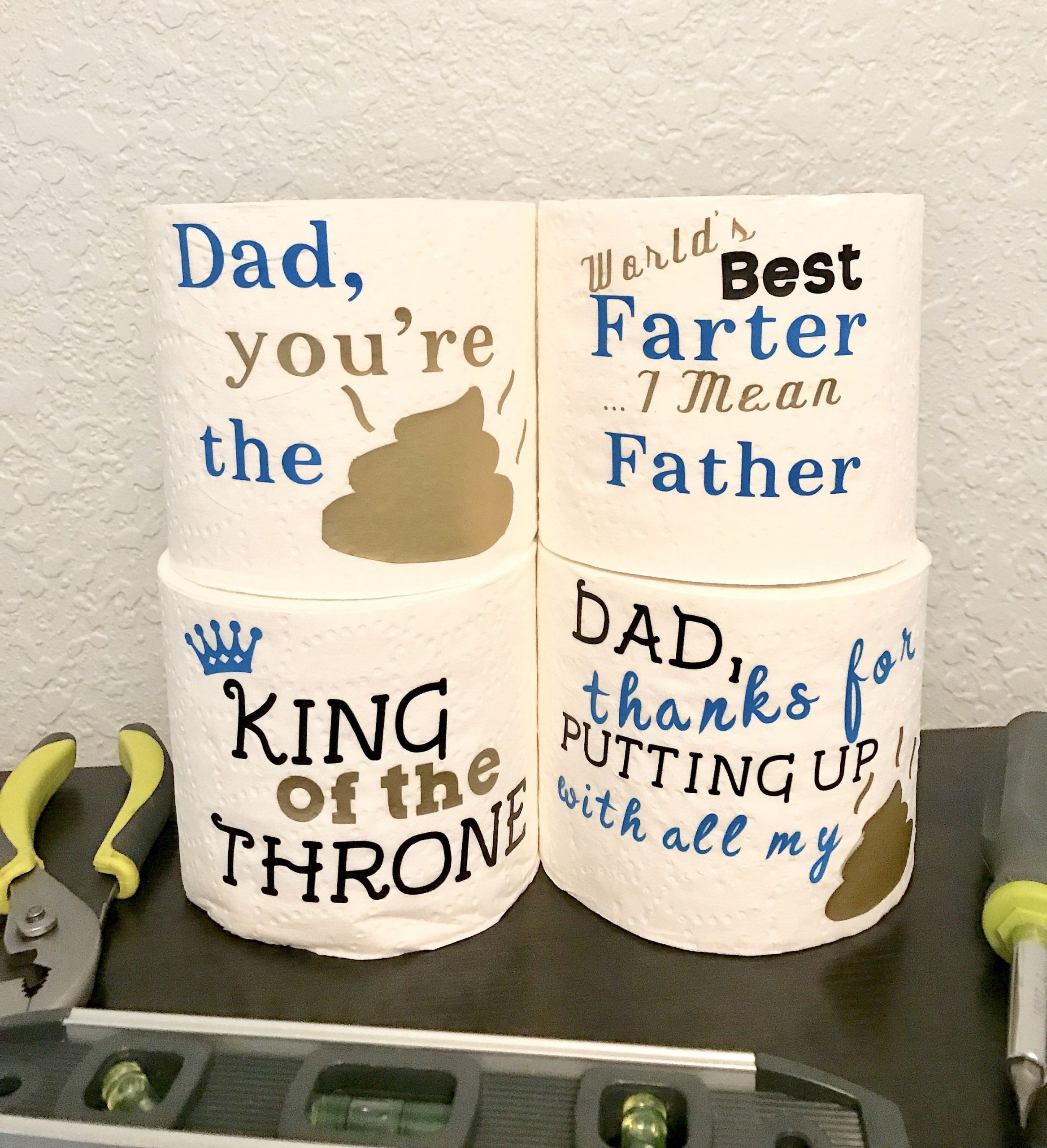 Father Son Christmas Gift Ideas
 Funny Father s Day Gift Father s Day Gag Gift First