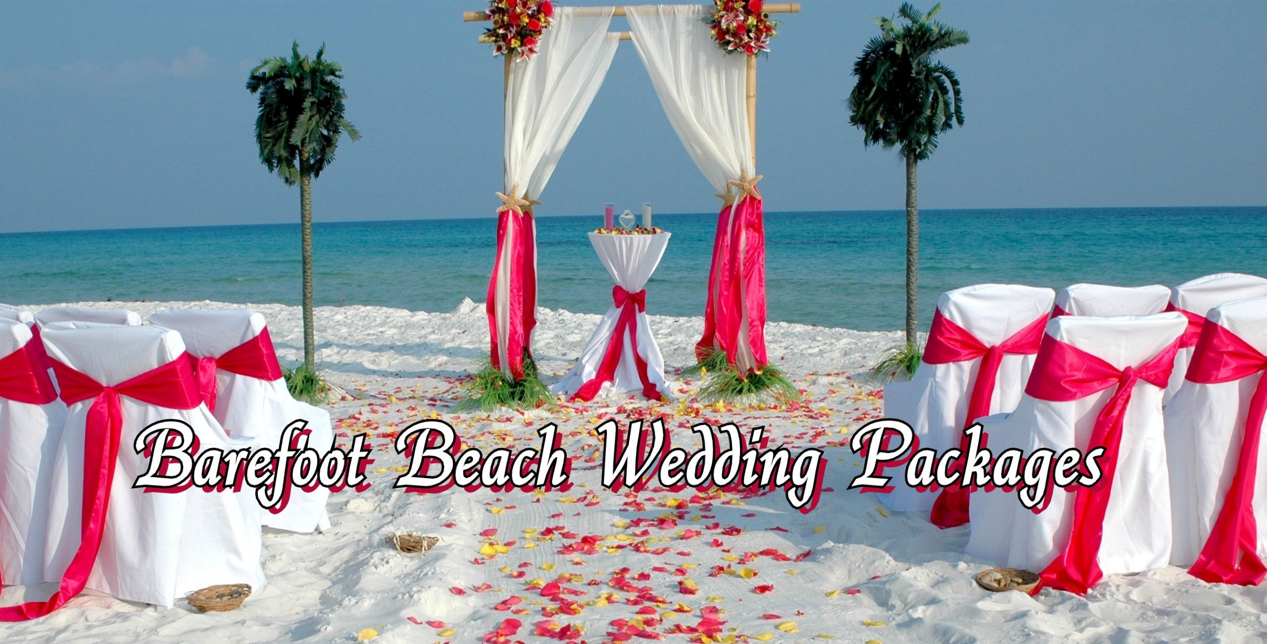Florida Beach Wedding Packages
 Florida Barefoot Bamboo Arbor Beach Wedding Packages