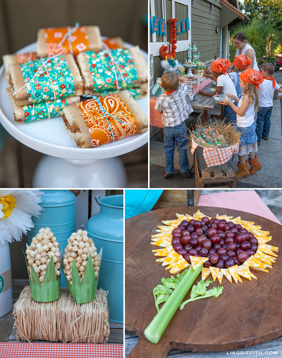 Food Themed Party Ideas
 DIY Kid s Farm Party Food & Drinks