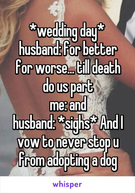 For Better Or For Worse Wedding Vows
 U part Wedding and Wedding day on Pinterest