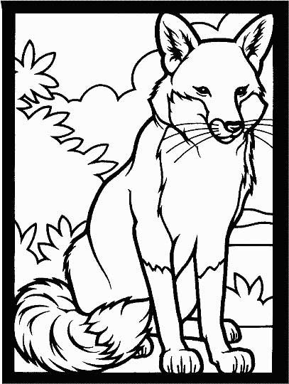 Fox Coloring Pages For Kids
 Fox Coloring Page for Kids Free Printable Picture