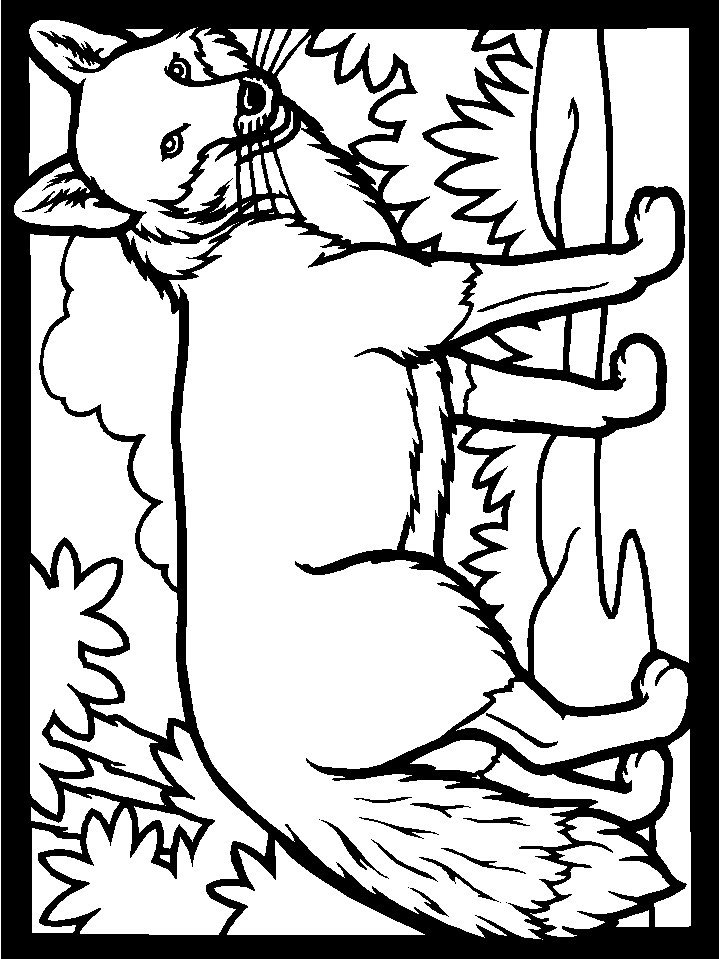 Fox Coloring Pages For Kids
 Print coloring page and book Color Fox Animals Coloring