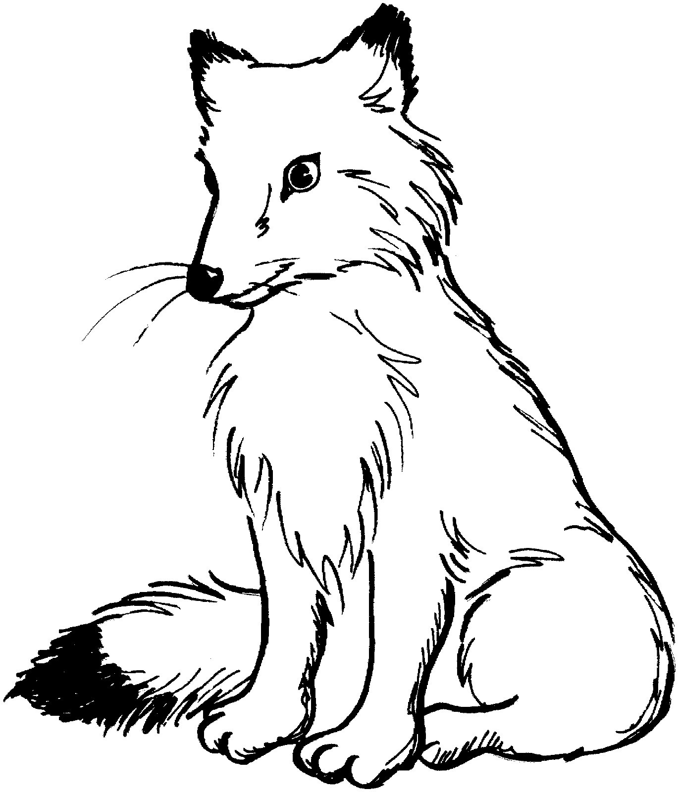 Fox Coloring Pages For Kids
 Free Printable Fox Coloring Pages For Kids