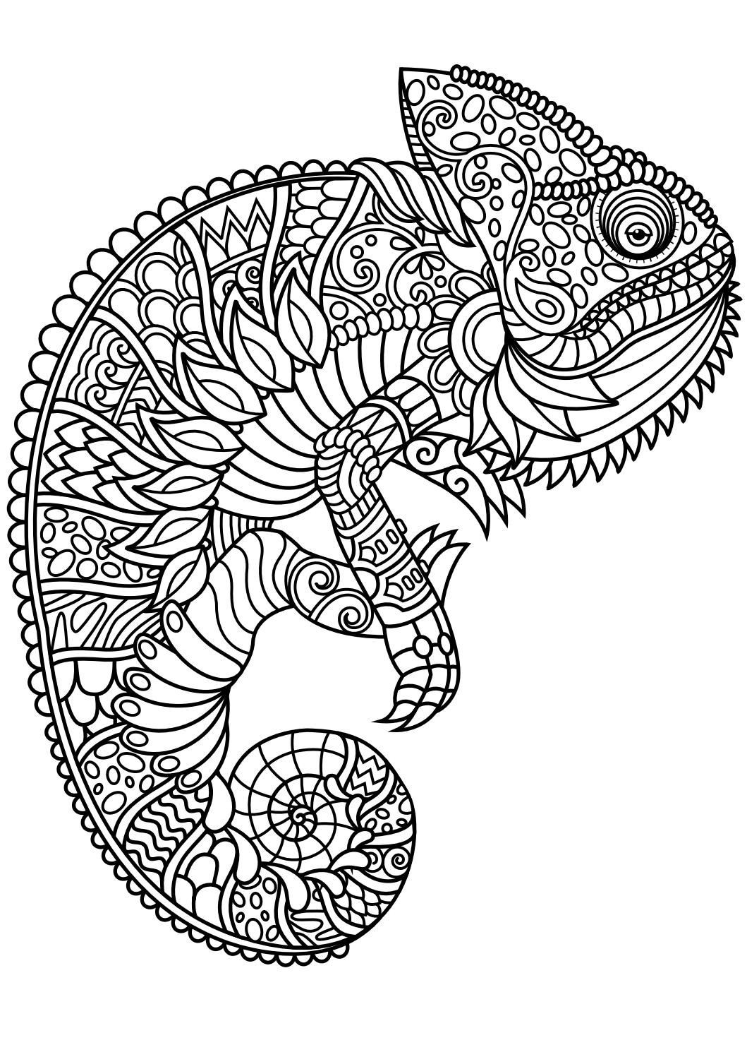 Free Adult Coloring Book Pdf
 Animal coloring pages pdf