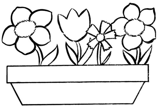 Free Coloring Pages For Girls Flowers
 Lily Pad Flower Coloring Pages Flower Coloring Pages