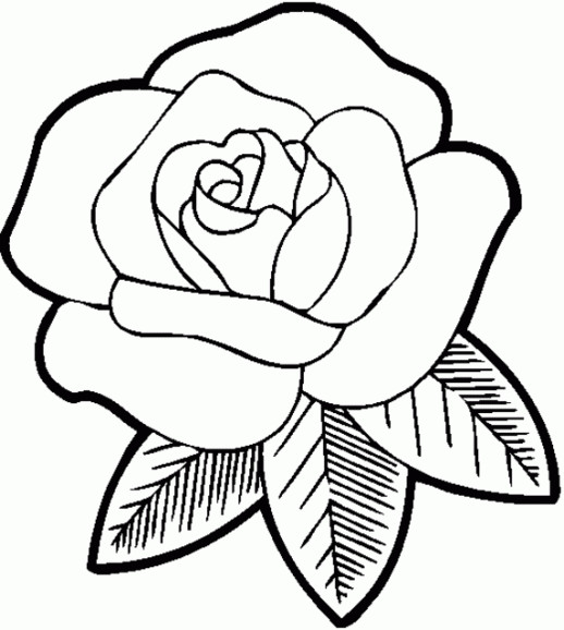 Free Coloring Pages For Girls Flowers
 Rose Coloring Pages For Girls Flowers
