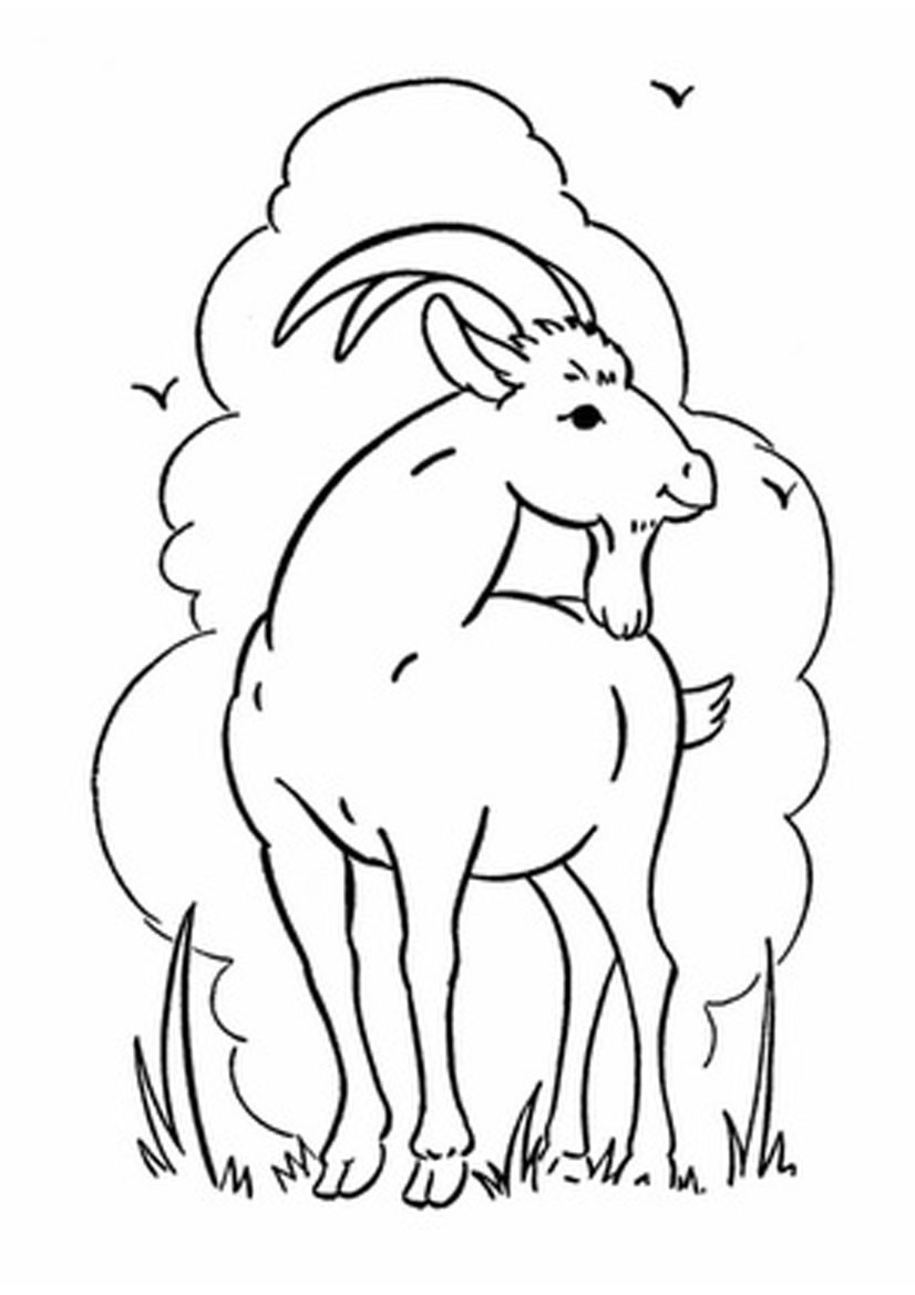 Free Coloring Sheets For Toddlers
 Free Printable Goat Coloring Pages For Kids