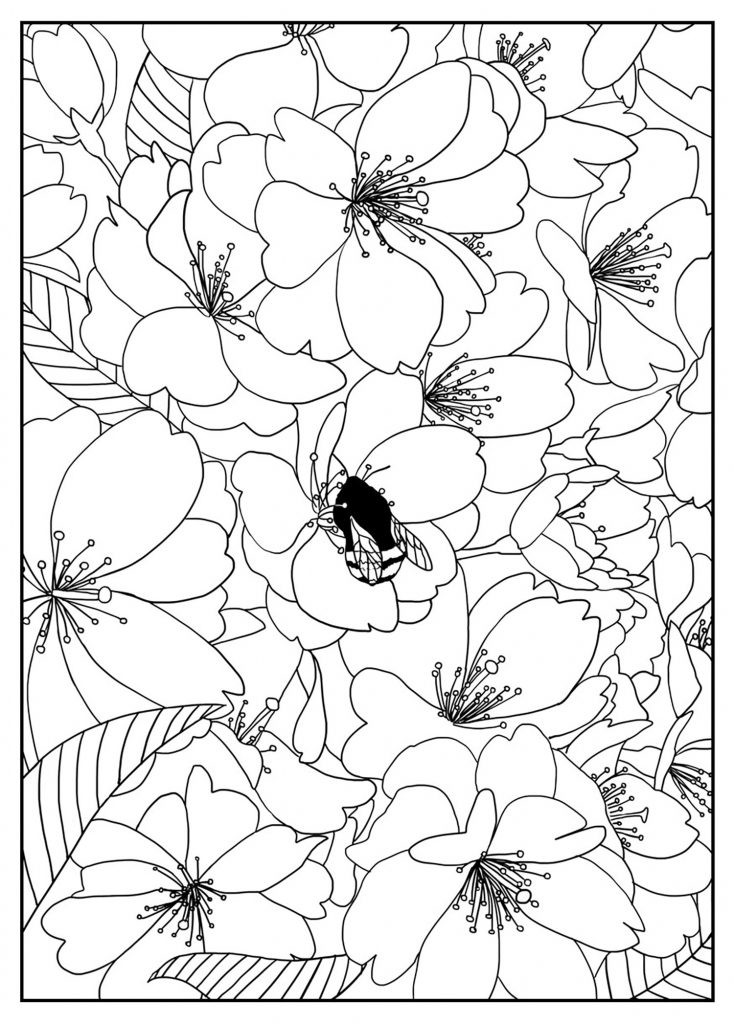 Free Flower Coloring Pages For Kids
 Free Printable Flower Coloring Pages For Kids Best