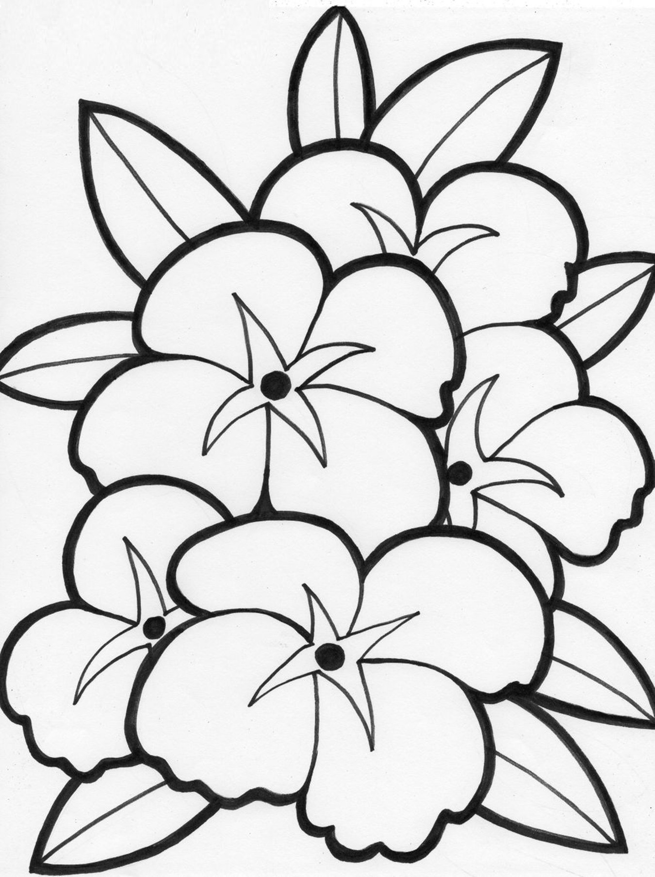 Free Flower Coloring Pages For Kids
 Free Printable Flower Coloring Pages For Kids Best