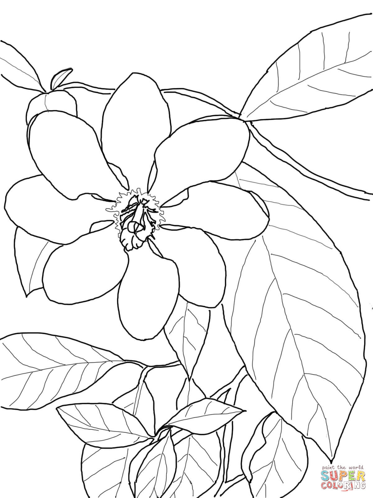 Free Printable Coloring Book
 Gardenia Carinata coloring page