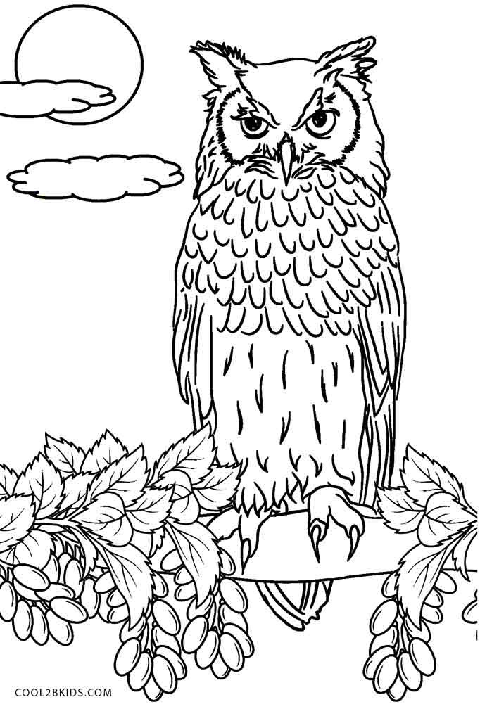 Free Printable Owl Coloring Pages
 Free Printable Owl Coloring Pages For Kids