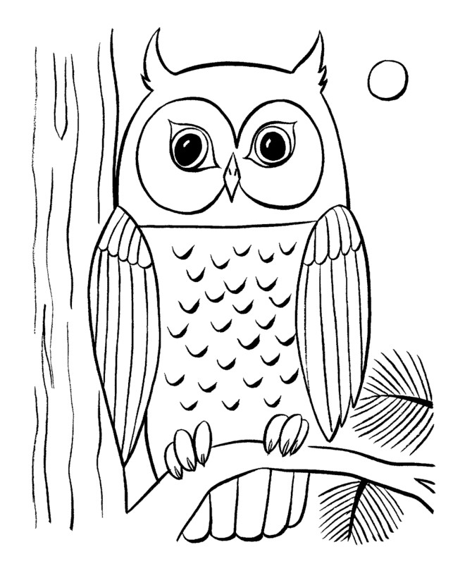 Free Printable Owl Coloring Pages
 Owls Animal Coloring Pages