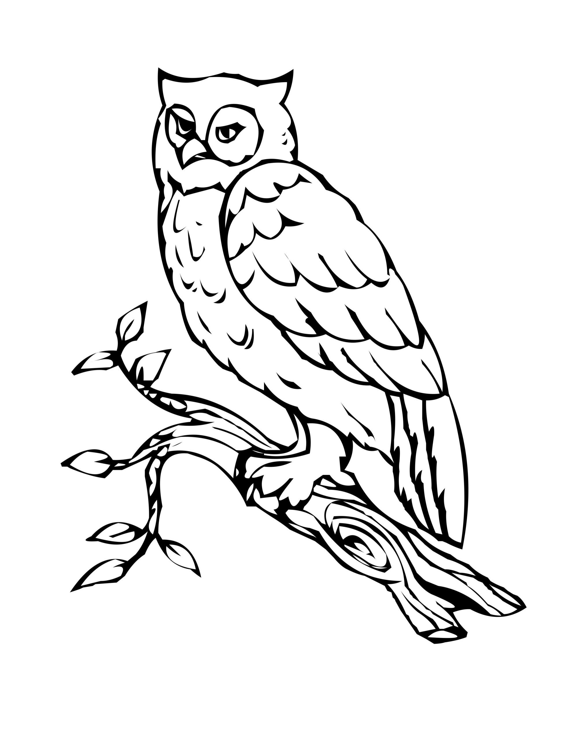 Free Printable Owl Coloring Pages
 Printable Owl Coloring Page
