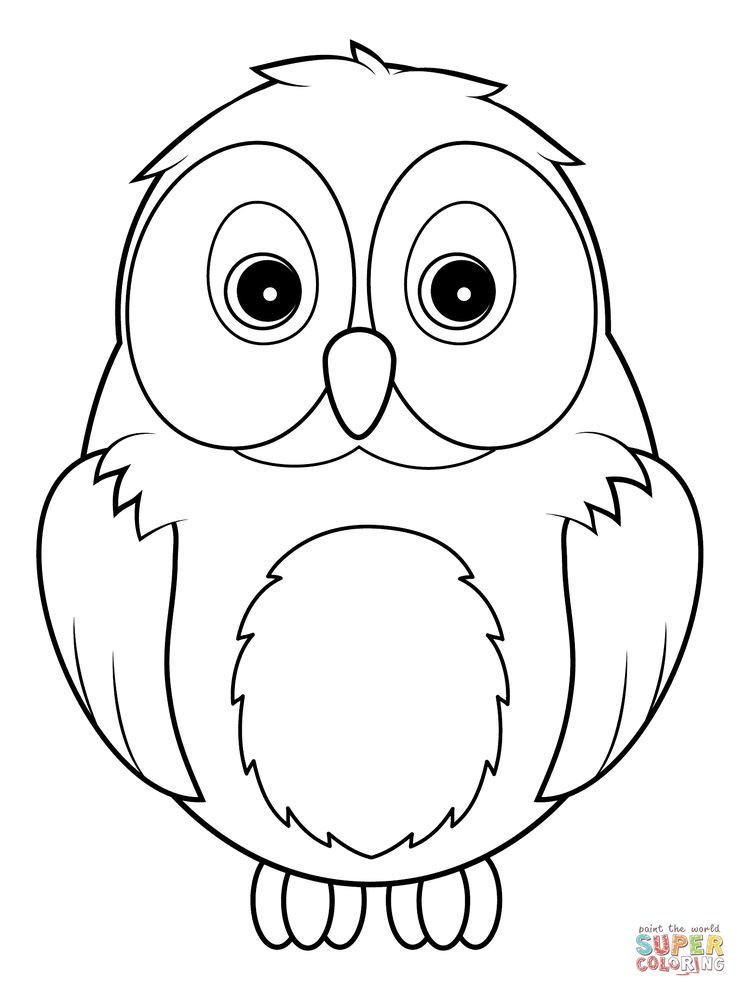 Free Printable Owl Coloring Pages
 how to draw a cute snowy owl for kids Google Search