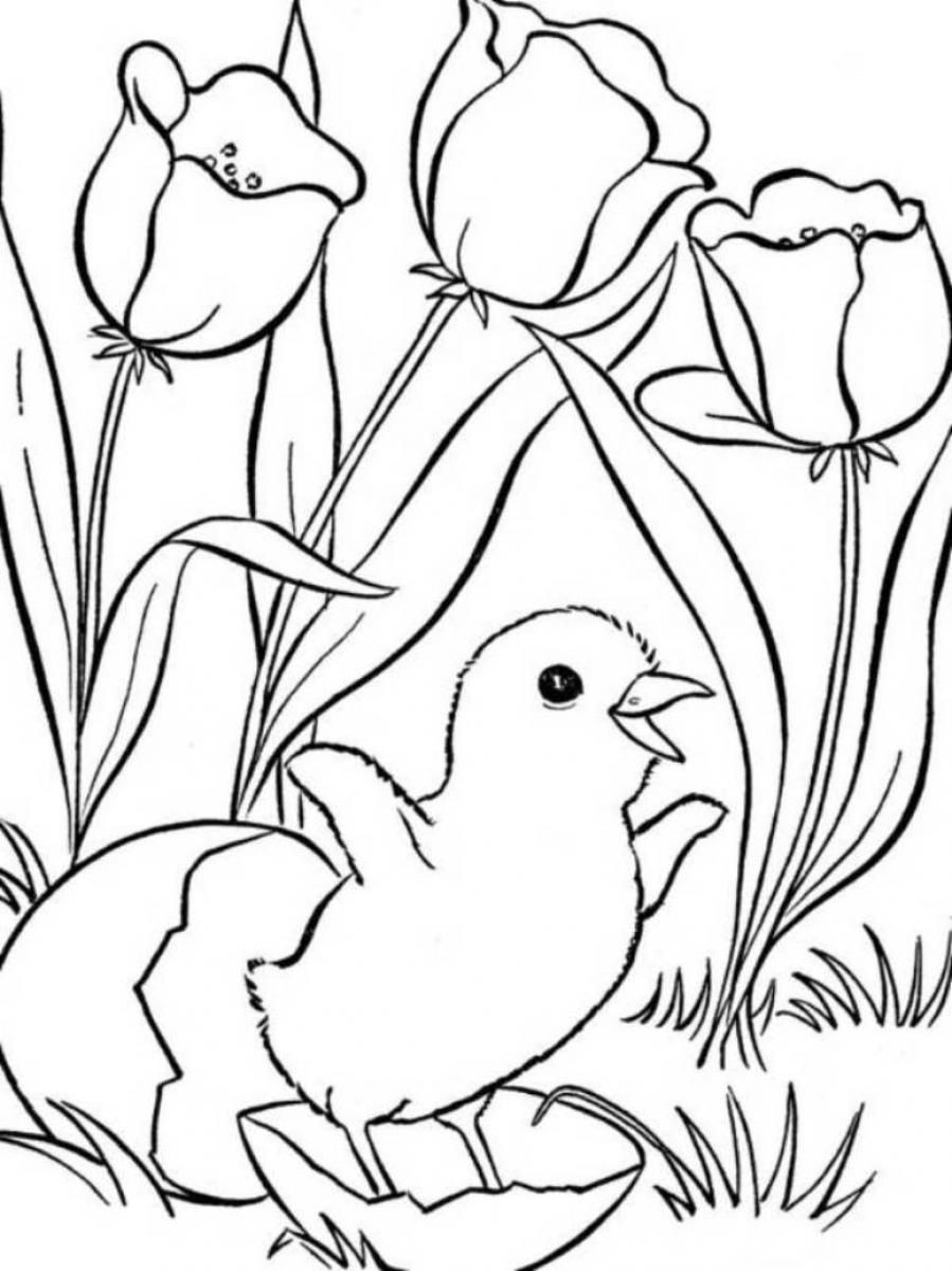 Free Spring Coloring Pages For Kids
 Pin on Coloring Page Love