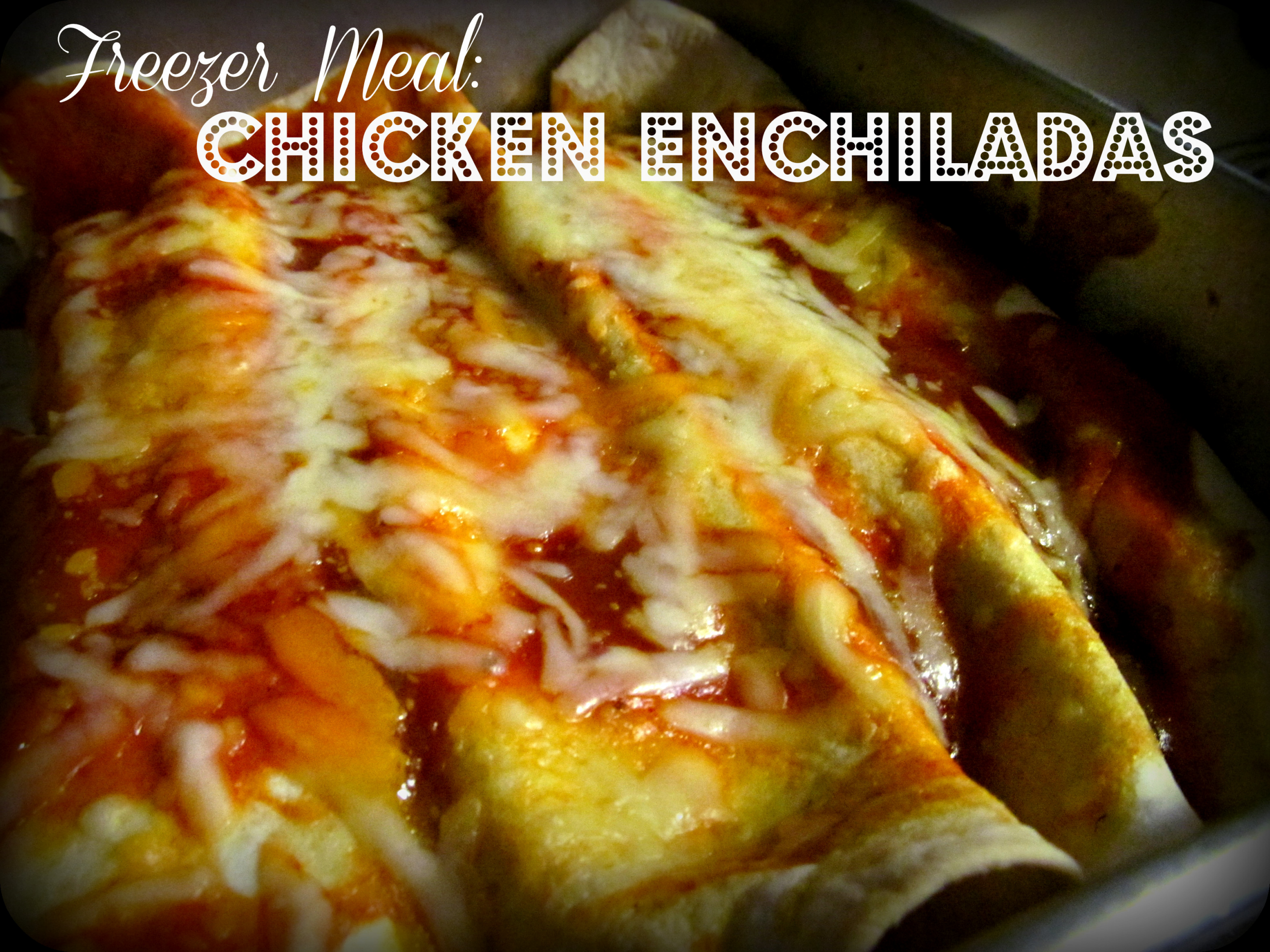 Freezer Chicken Enchiladas
 Freezer Chicken Enchiladas