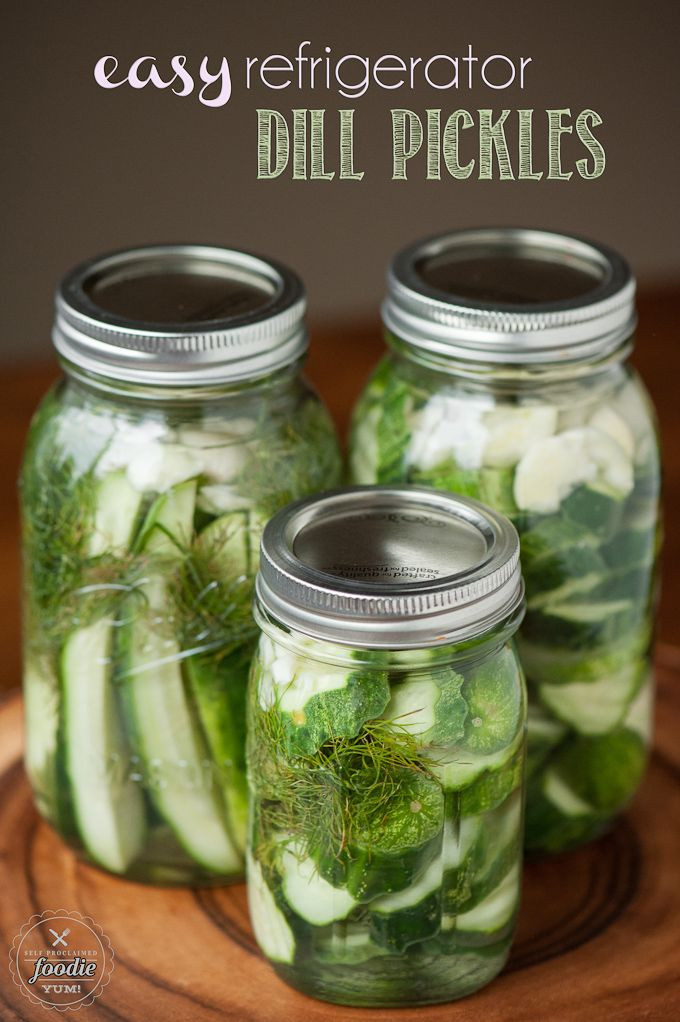 Freezer Dill Pickles
 It only takes a few minutes to make Easy Refrigerator Dill