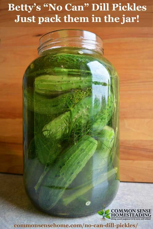 Freezer Dill Pickles
 Easiest Ever No Canning Required Dill Pickles