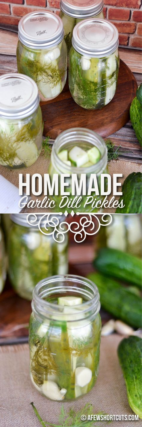 Freezer Dill Pickles
 Homemade Garlic Dill Pickles Recipe