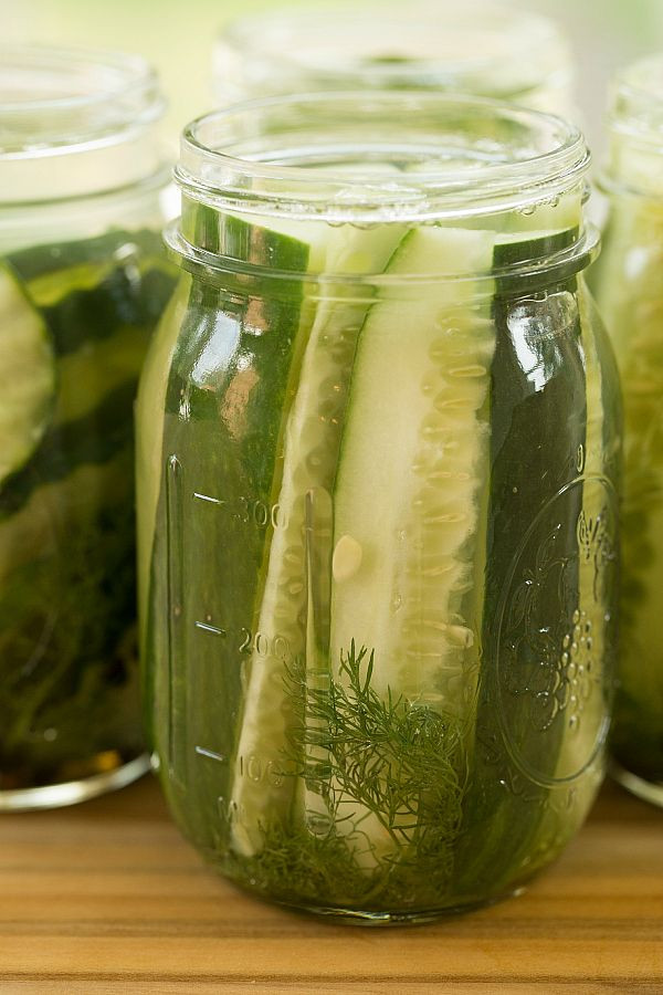 Freezer Dill Pickles
 Quick & Easy Refrigerator Dill Pickles Recipe
