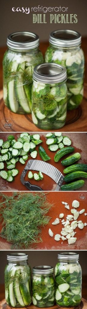 Freezer Dill Pickles
 best images about Easy Favorite Recipes on Pinterest