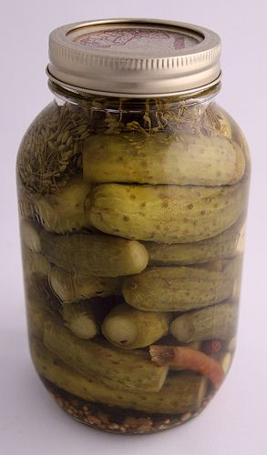 Freezer Dill Pickles
 Preserving Recipe for Pickles Prepper chick