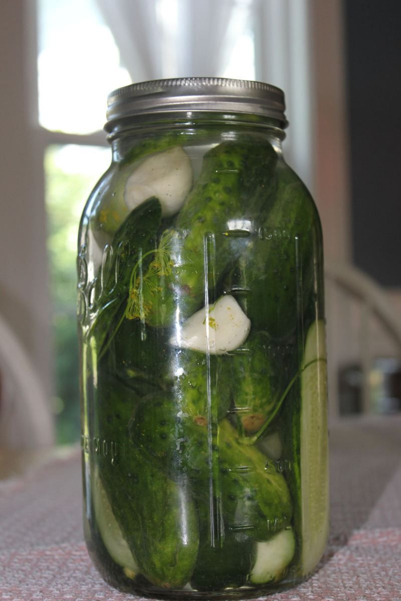 Freezer Dill Pickles
 Small Batch Refrigerator Dill Pickles