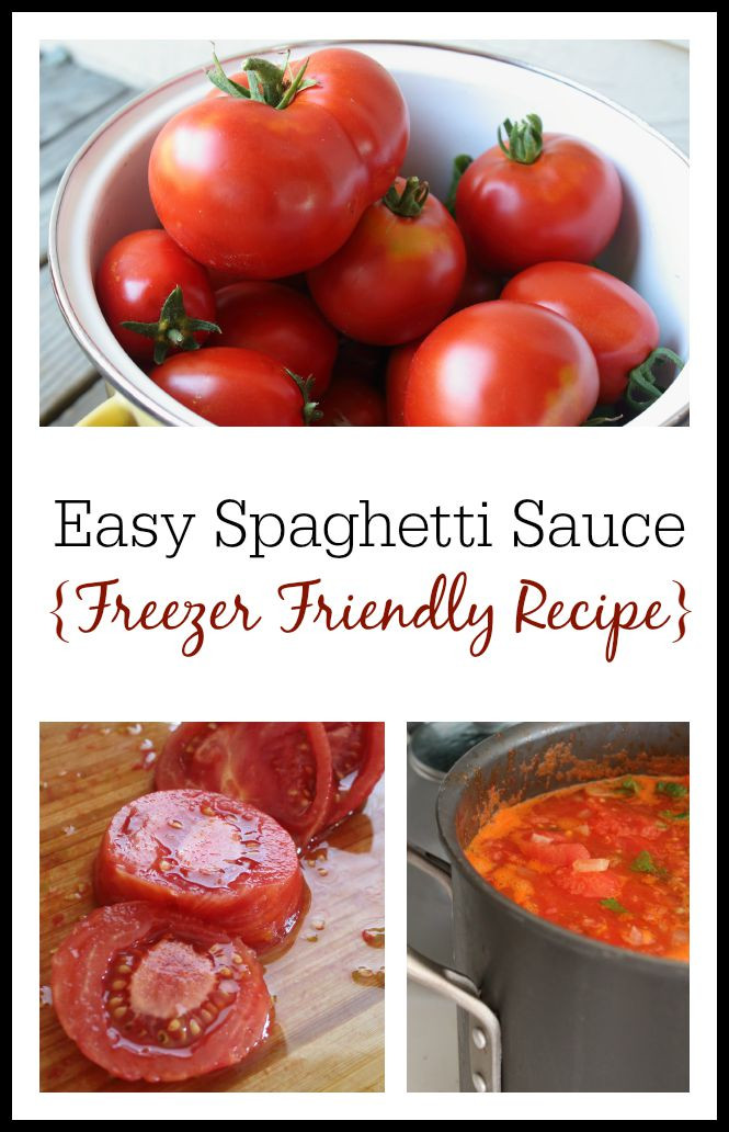 Freezer Spaghetti Sauce
 How to Make Spaghetti Sauce from Fresh Tomatoes Freezer