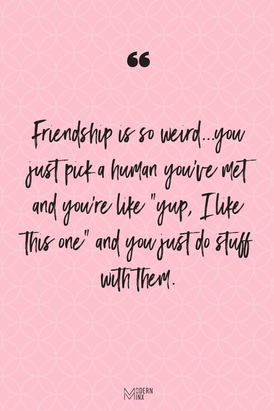 Friendship Quotes Picture
 Short Funny Friendship Quotes and Sayings