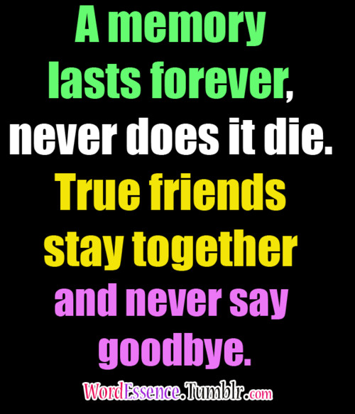 Friendship Quotes Sayings
 Goodbye Best Friend Quotes QuotesGram